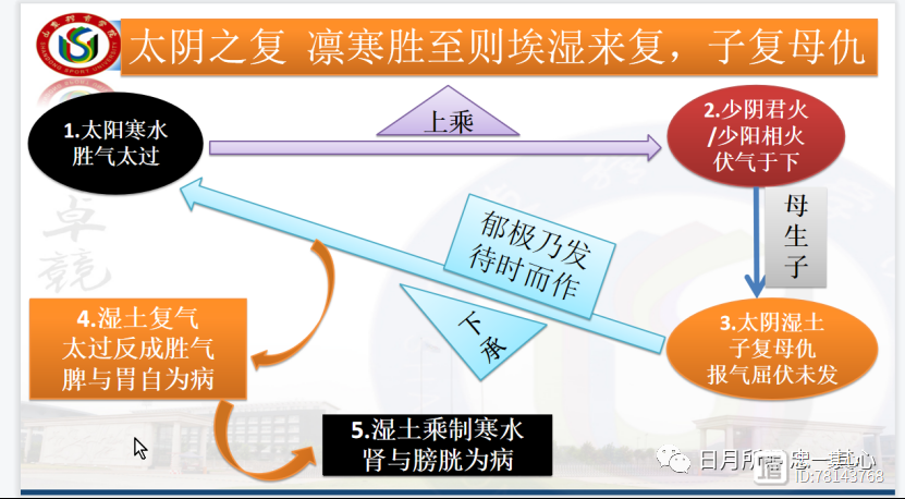 §47太阴复治：治以苦热，佐以酸辛，以苦泻之、燥之、泄之