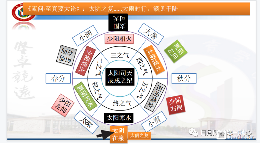 §47太阴复治：治以苦热，佐以酸辛，以苦泻之、燥之、泄之