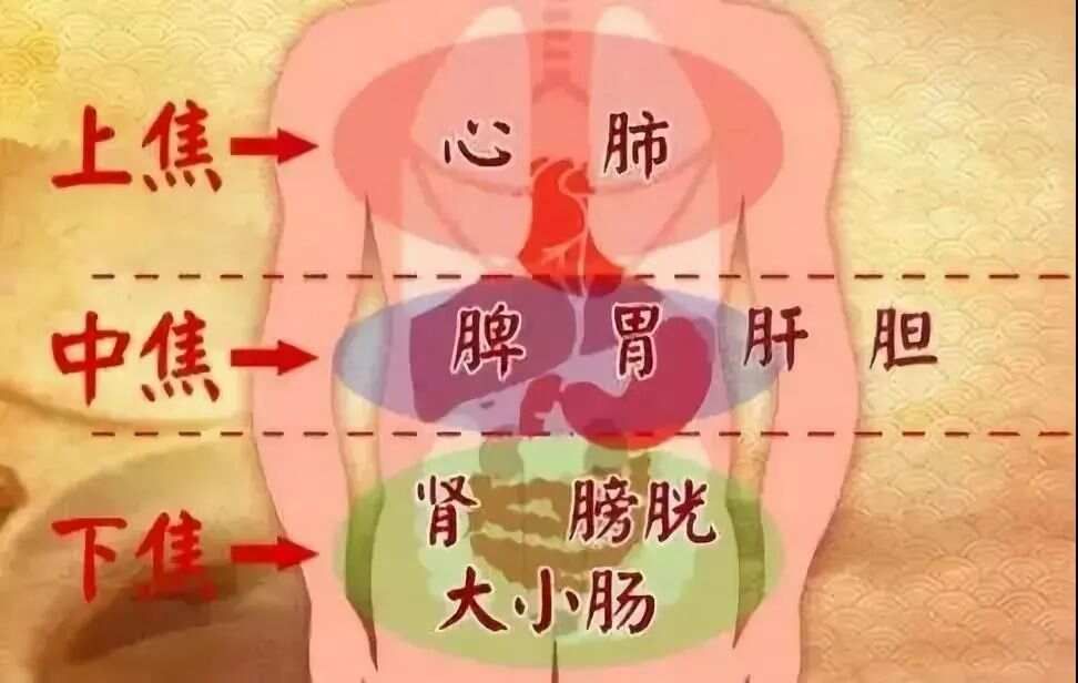 三焦不通百病缠！2个最简单疏通方法，排掉一身毒气、病气......