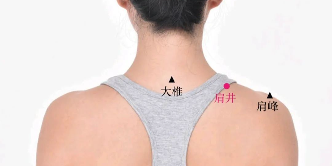 我和家父的针灸经验总结：这5个穴位，治不少病证，往往只取一穴就...