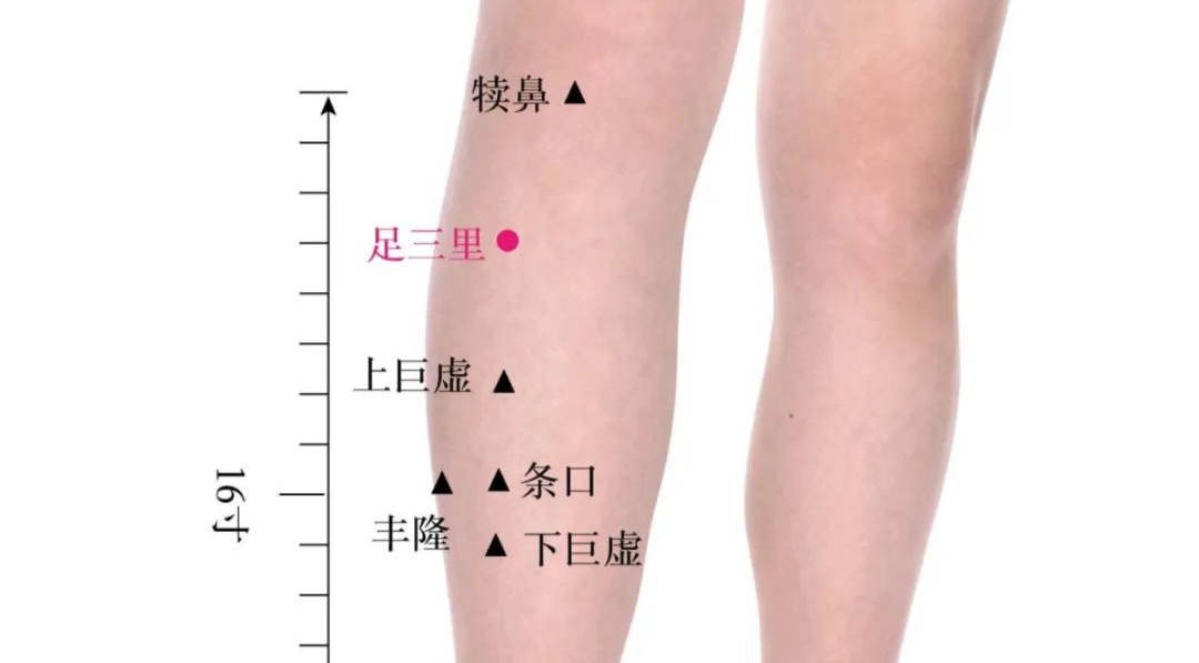 我和家父的针灸经验总结：这5个穴位，治不少病证，往往只取一穴就...