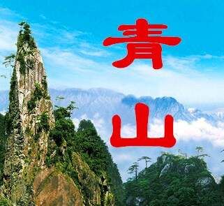 青山学菜  大饼的15种做法，飘香十里