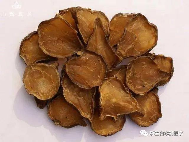 郭生白论附子的使用