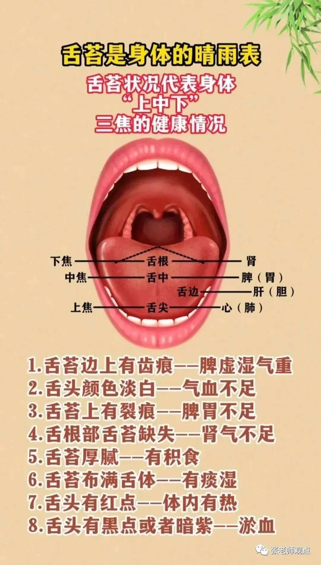 学习看舌相（一）
