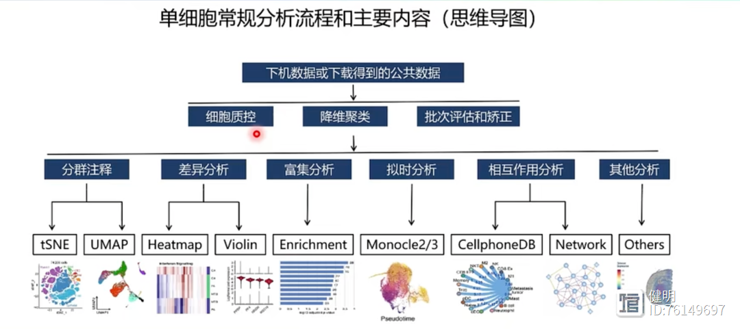 胃癌单细胞数据集GSE163558复现(十)：CopyKAT分析