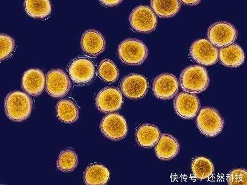 李时珍称花椒加一物，3天排出5斤宿便，口臭没了，大肚腩也消失