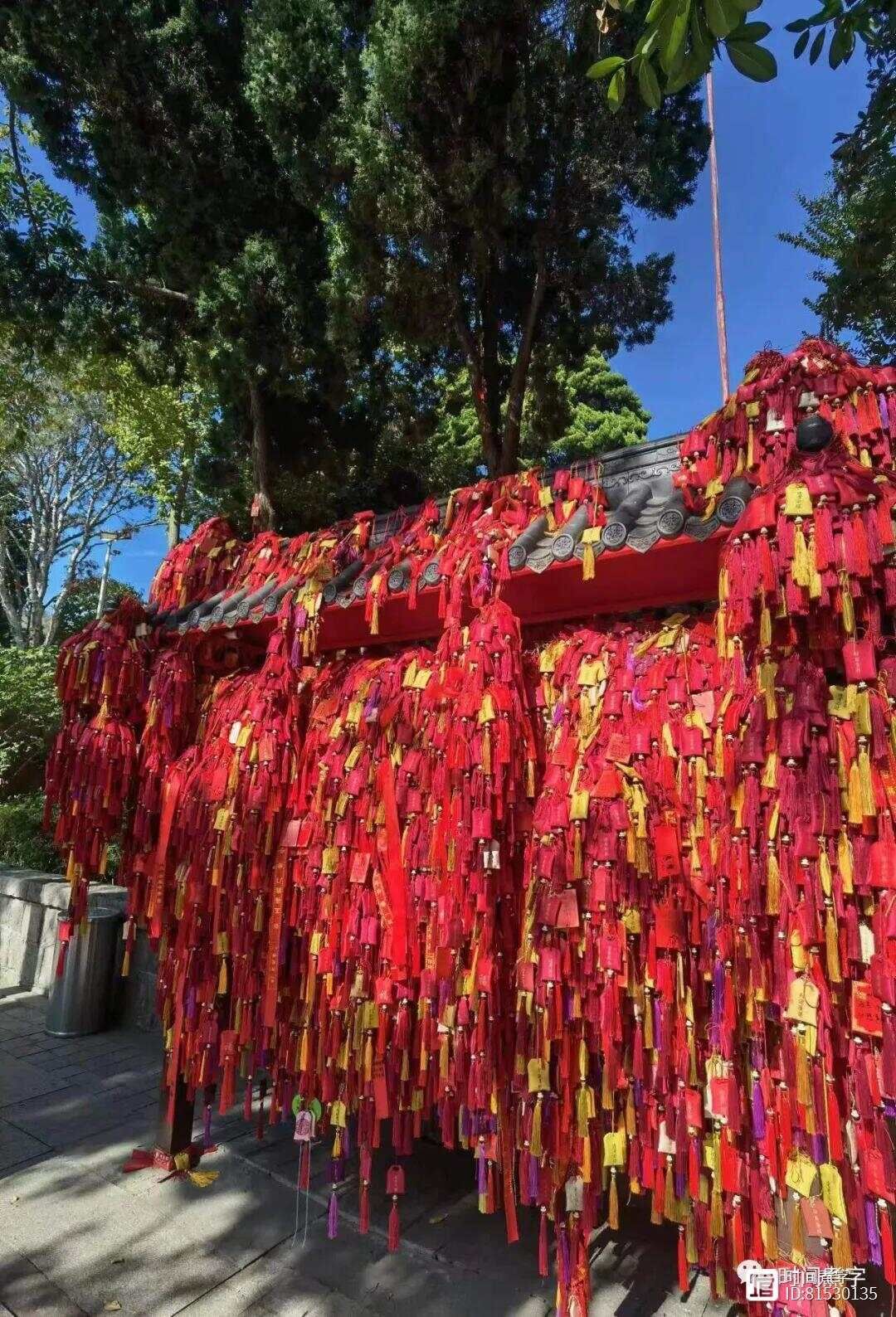 一念起，万物生｜幽幽静静的湛山寺