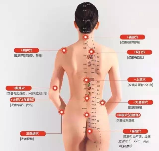 难怪你老那么快，经络都快堵死了！