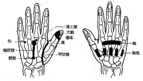 能有效治疗冠心病的穴位按摩法