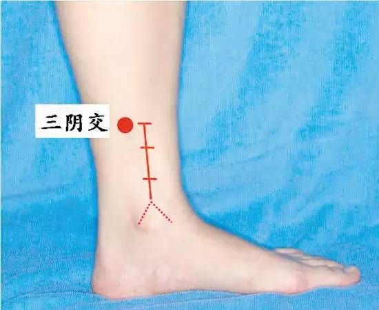 针灸疗法-------金针之不传之秘：十二对冲，详解