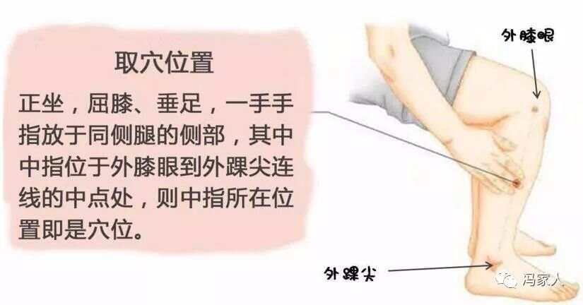 足阳明胃经——丰隆穴：祛湿化痰，第一要穴！