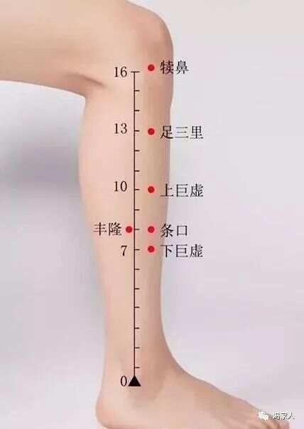 足阳明胃经——丰隆穴：祛湿化痰，第一要穴！