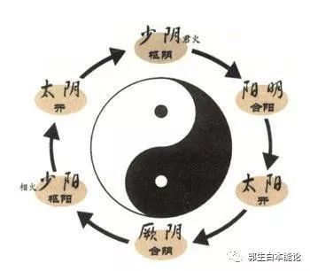 《伤寒六经》的病理根据