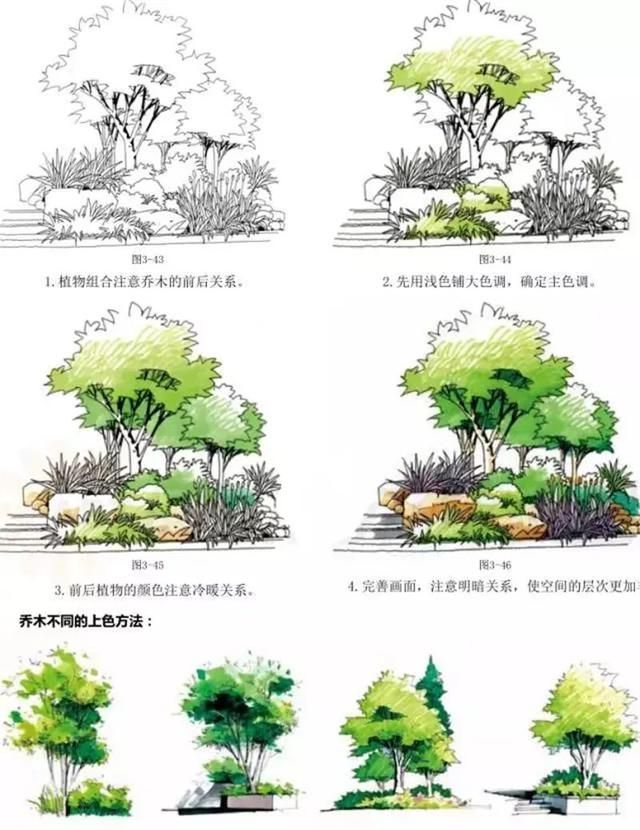 真正的景观手绘干货在这里！速速学起来吧！