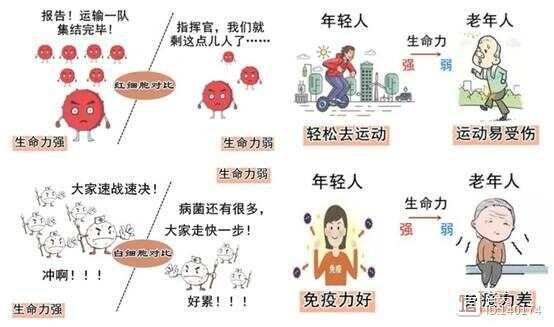 人活一口气