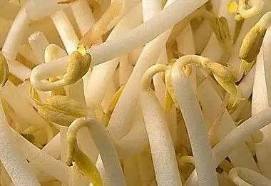 这9种蔬菜没煮熟，千万别吃！