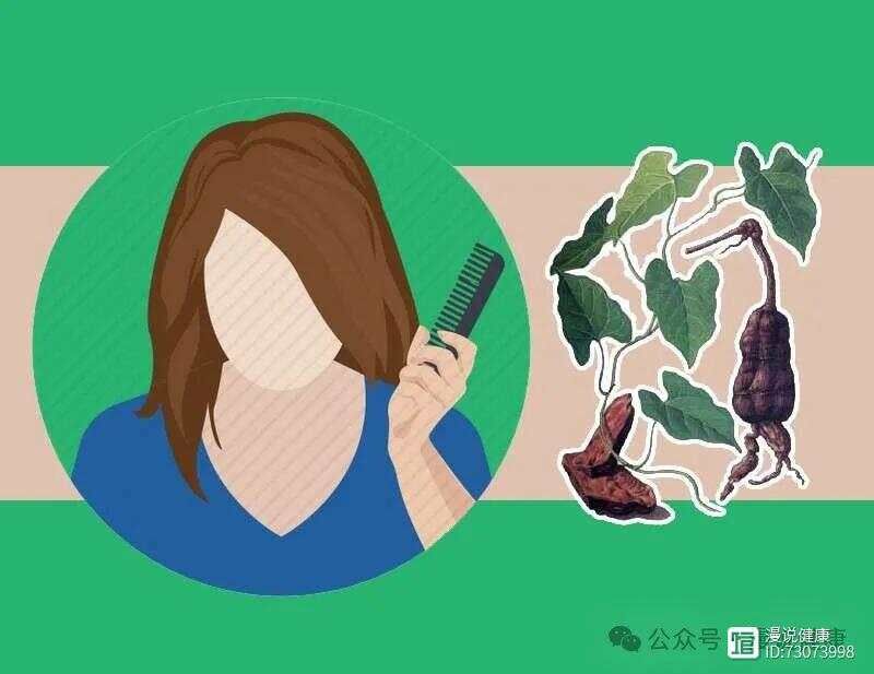 中药纯天然不伤身提醒：服用这4种中药需留个心眼，否则易伤肝