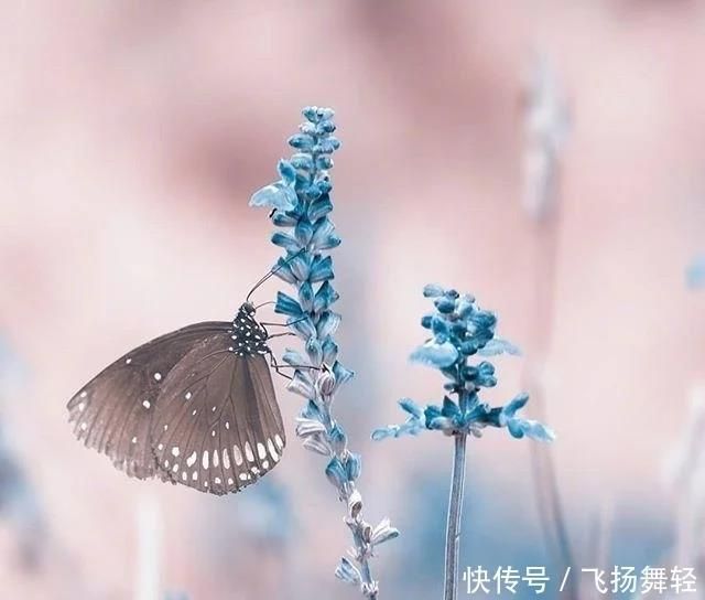 十二月最洗脑的人生格言，深刻透彻，让人感慨万千！