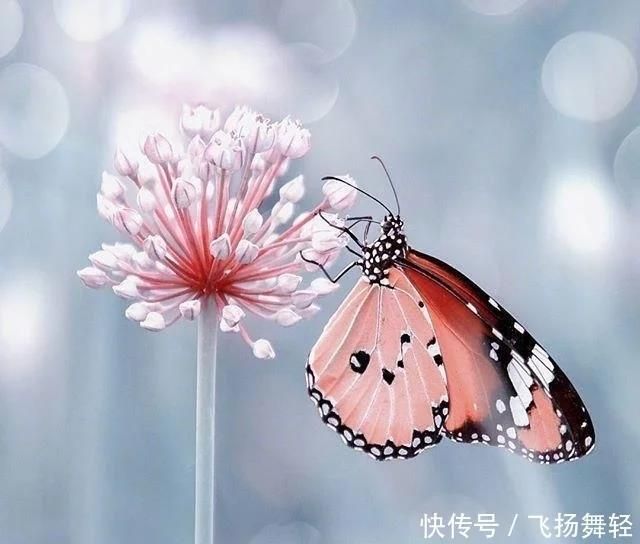十二月最洗脑的人生格言，深刻透彻，让人感慨万千！