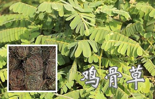 相当有用的民间老中医私人秘方，费尽周折，终于面世