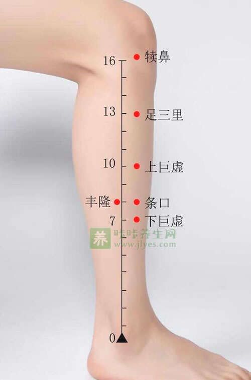 丰隆穴的准确位置图,按摩丰隆穴的作用与功效