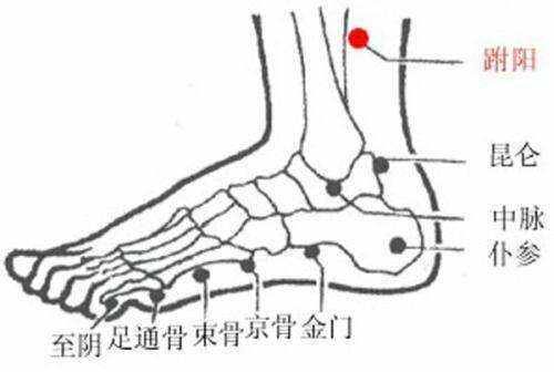 艾灸跗阳穴的好处与功效
