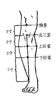 三皮讲穴小肠寒症、功能性病变