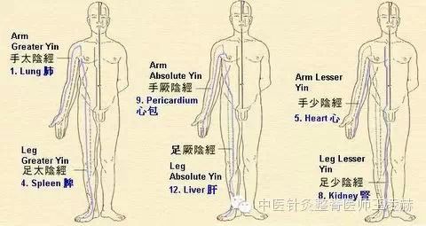 中医指南学习十二条经络的技巧