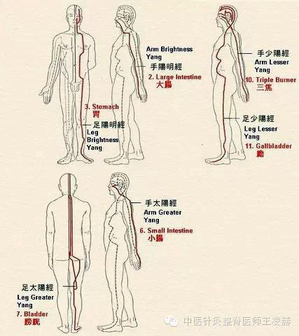 中医指南学习十二条经络的技巧