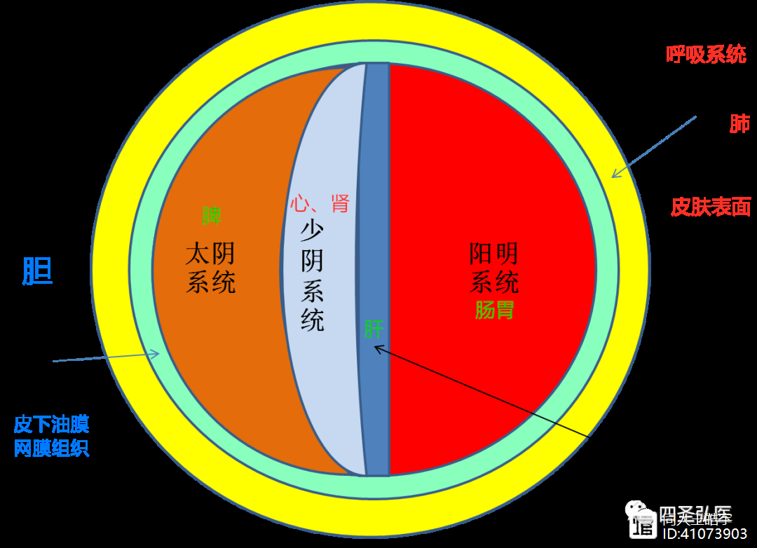 第252篇 同人现代语言解读伤寒系列（14）
