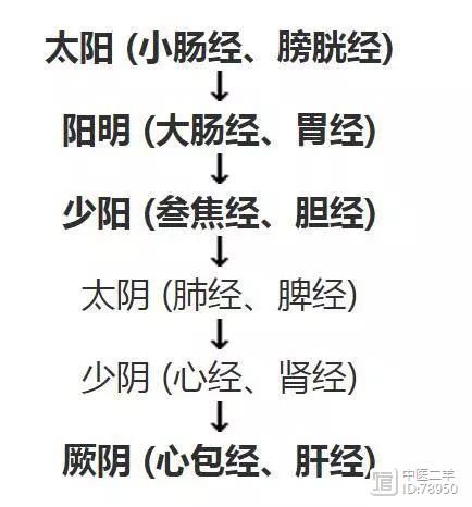 熟读这些中医辨证口诀，想不会辩证都难，不信你来挑战