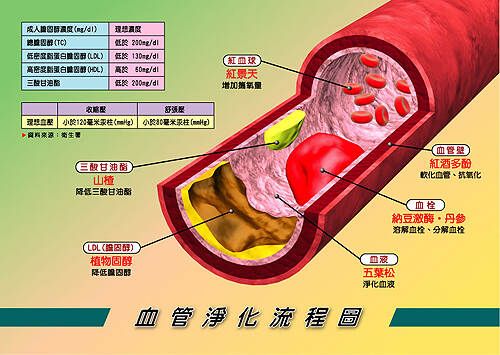 名医秘方将血管壁清理干净的效方，根治心脑血管病
