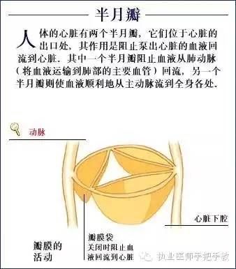 轻松记住心内科基础知识