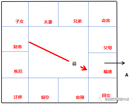 「飞宫体系」：飞宫忌的分类