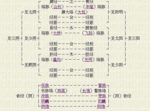 十二经络走向动态图！！！