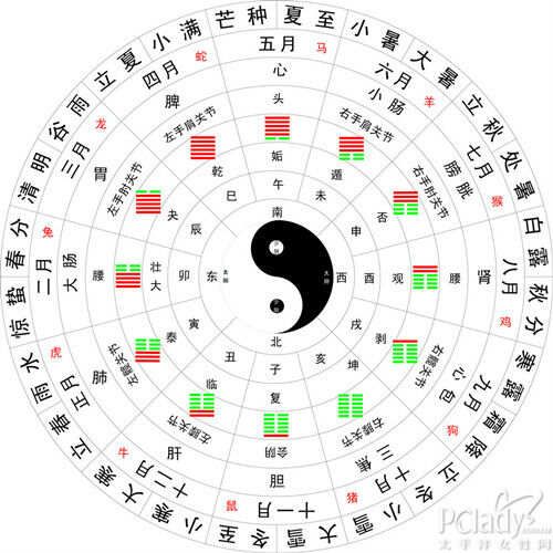 十二经络走向动态图！！！