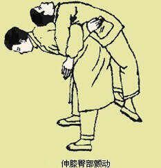 十二经络走向动态图！！！