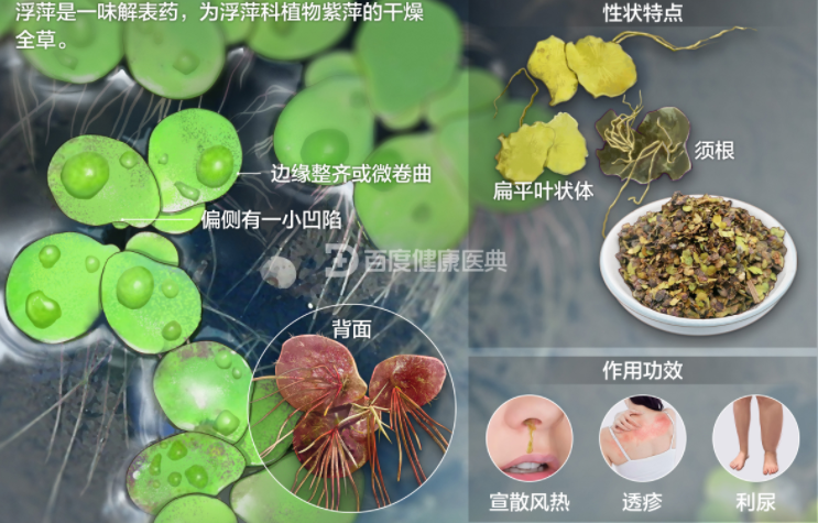 《伤寒论》学习笔记3——桂枝汤治疗病发于阳的外感