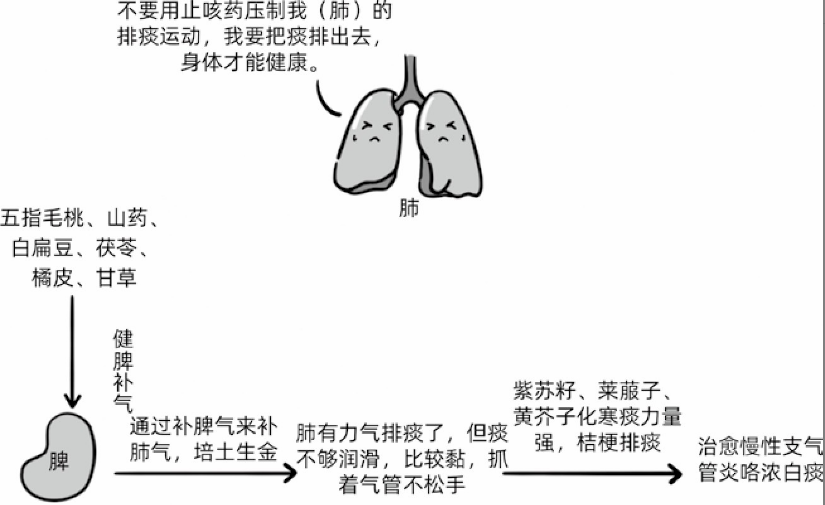 范怨武：我的第2个凉茶验方，芥子茶益气健脾，燥湿化痰，药食两用