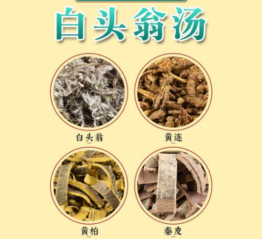 《伤寒论》113方——白头翁汤