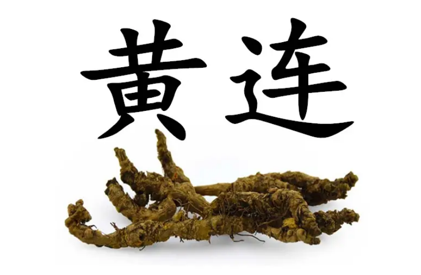 《伤寒论》113方——白头翁汤