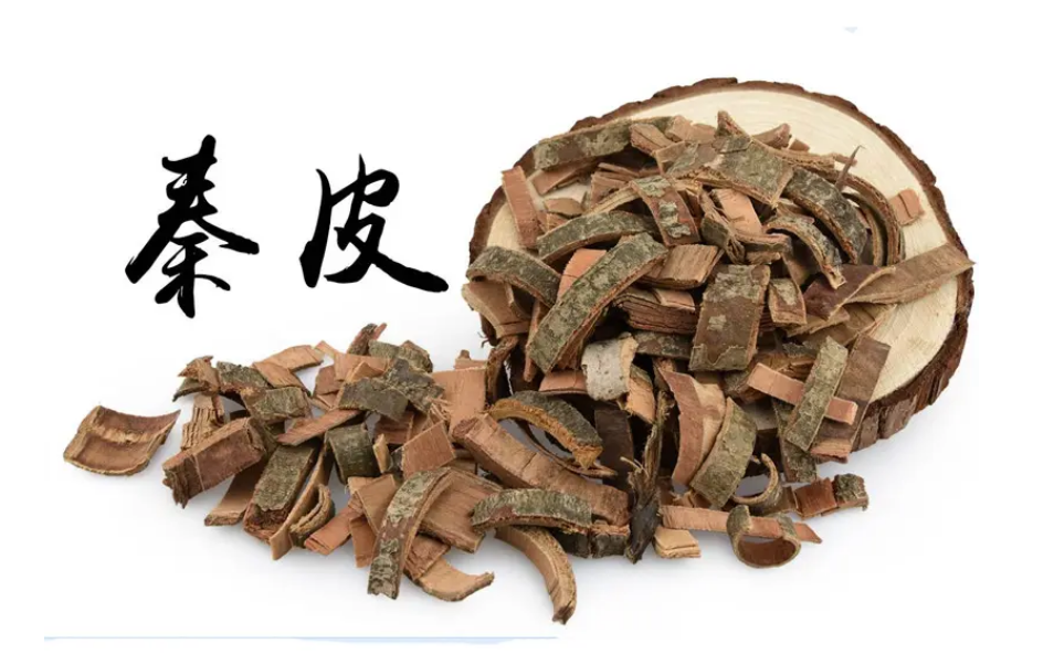 《伤寒论》113方——白头翁汤