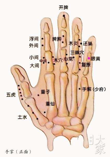 董针——眼科处方
