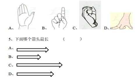 教科版科学一年级上册期末试卷