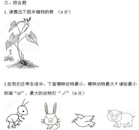 教科版科学一年级上册期末试卷