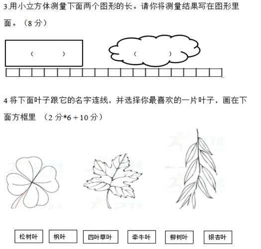 教科版科学一年级上册期末试卷
