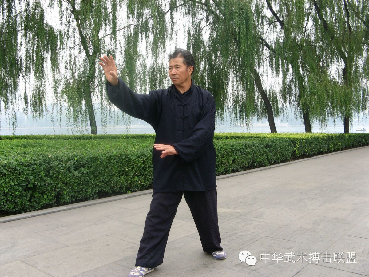 揭秘形意拳的“脊动”之技