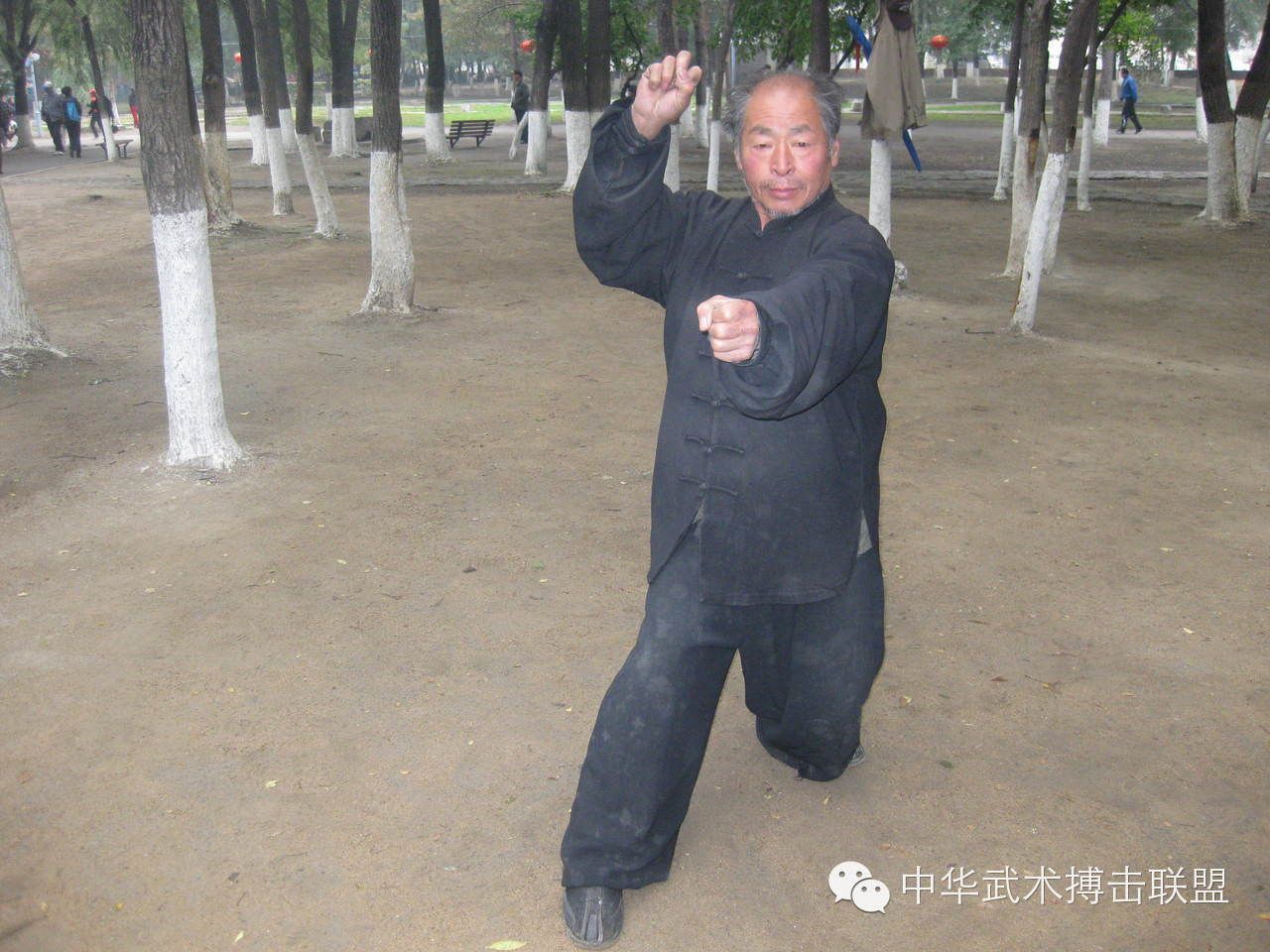 揭秘形意拳的“脊动”之技