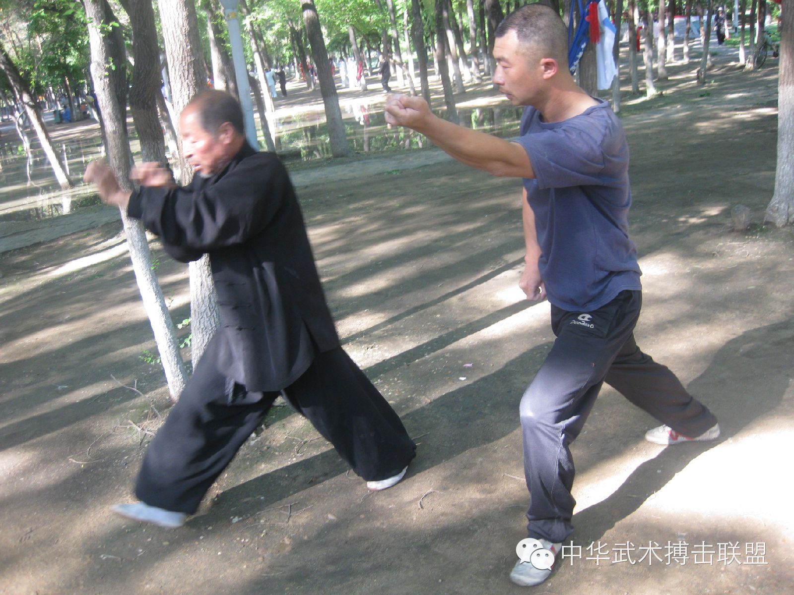 揭秘形意拳的“脊动”之技