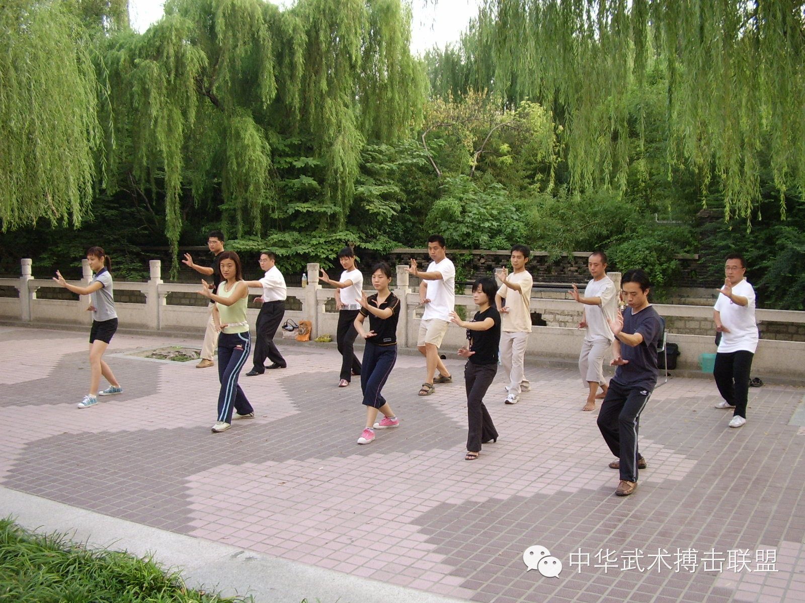 揭秘形意拳的“脊动”之技